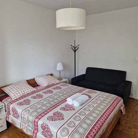 Room In Shared Apartment Genève Eksteriør bilde