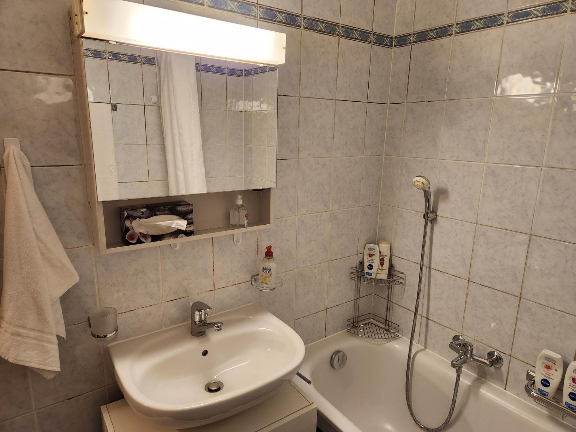 Room In Shared Apartment Genève Eksteriør bilde