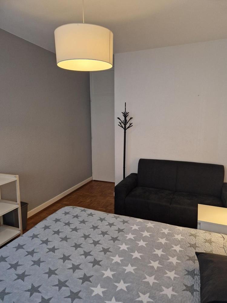 Room In Shared Apartment Genève Eksteriør bilde